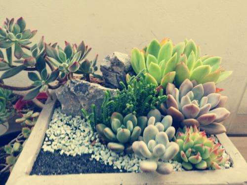 ŷ»׼202111ʱִӢŷЭ